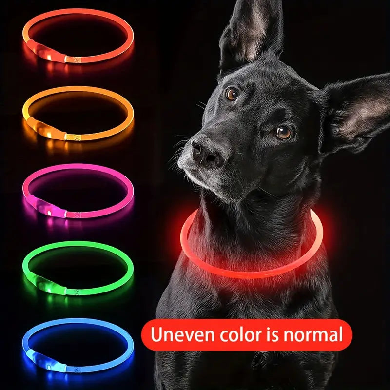 USB rechargeable LED dog collar for visibility at night